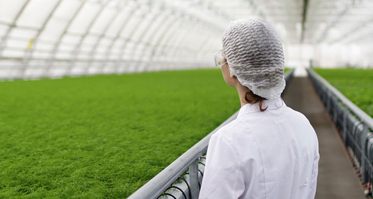 <p>MFS Institutional Investor Compass - Sustainable Investing</p>
