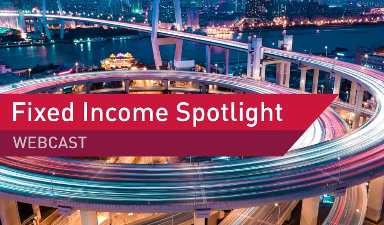 <p>Managing Risks &amp; Finding Opportunities in Fixed Income</p>
