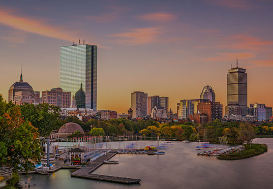 <p>MFS Executive Webcast Series</p>
