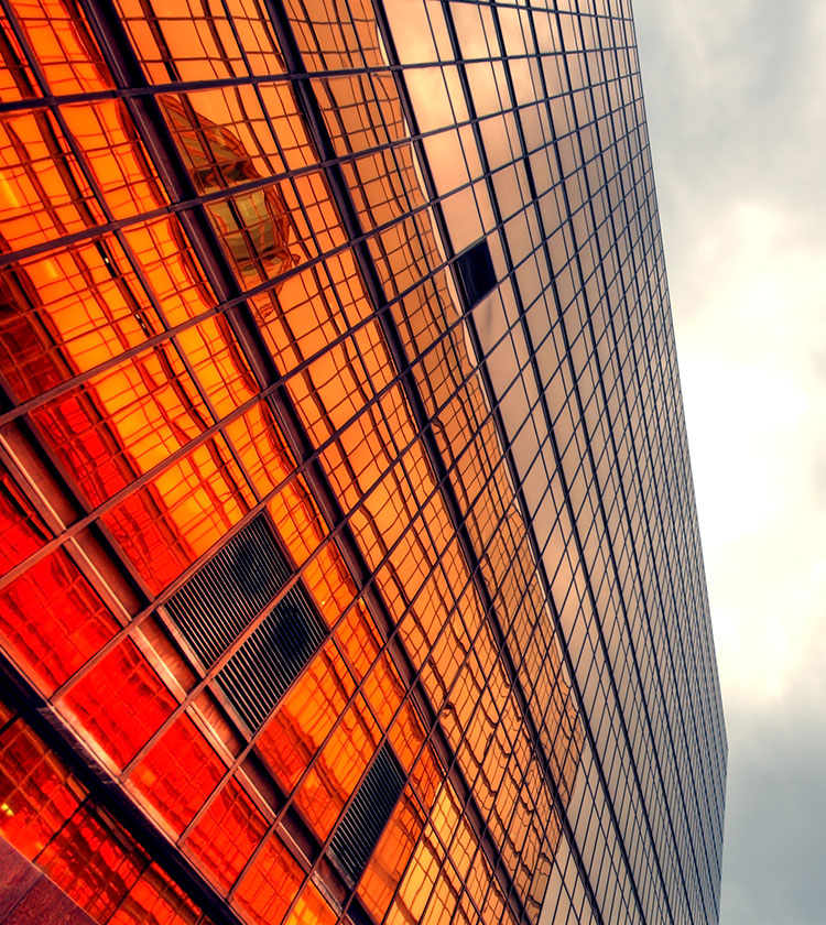 <p>The Two Faces of Dislocation: Liquidity and Solvency </p>
