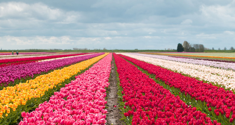 <p>Dude, Where's My Recession?</p>
