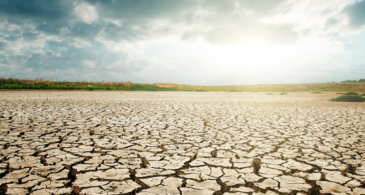 <p>Exploring the Commercial Application of Artificial Intelligence</p>
