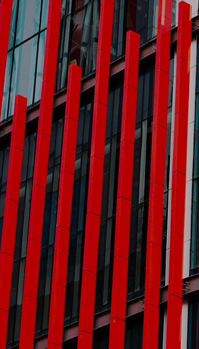 <p>It's Hard to Conjure Animal Spirits From a Wounded Animal</p>
