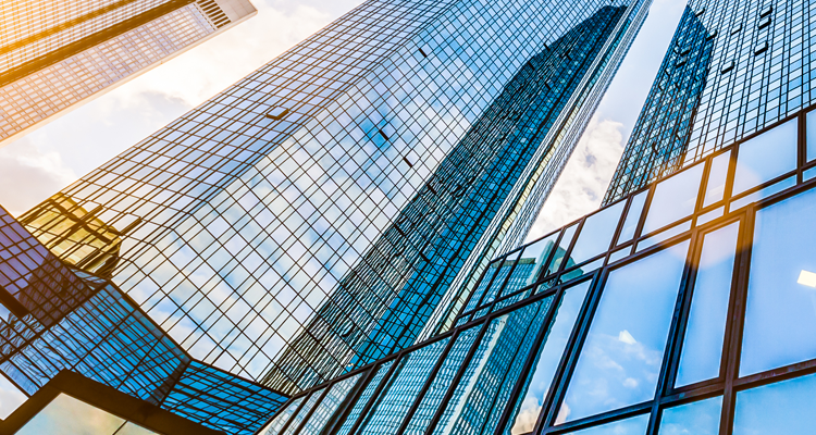 <p>Embracing the Bear: Finding opportunities during market declines</p>
