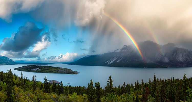 <p>Grow the Pie: Finding a Win-Win for Investors and Society</p>
