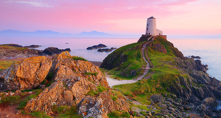 <p>The Importance of Embedded Legal Counsel in Municipal Investing: Lease Financing Case Study</p>
