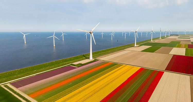 <p>Linking Climate, Companies and Communities: A Framework for Evaluating the Just Transition</p>
