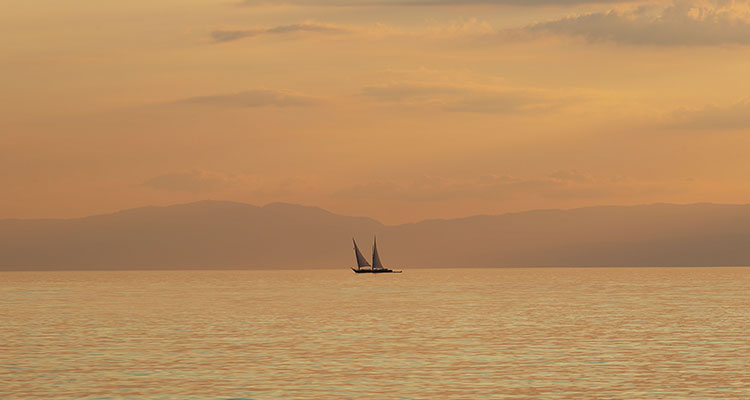 <p>Markets are Distracted</p>
