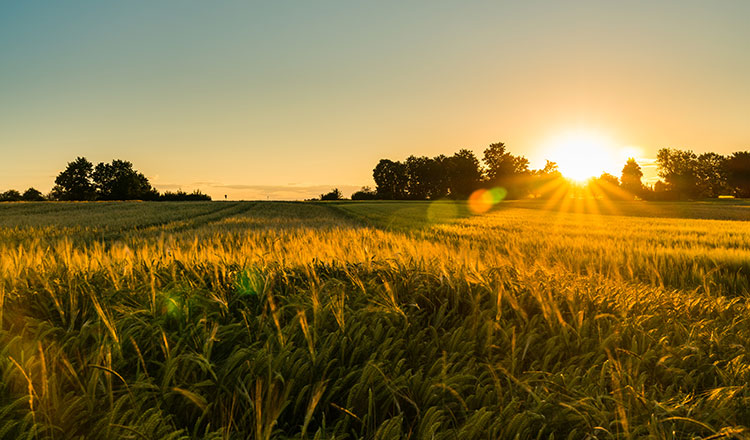 <p>Stocks Extend Nearly Month-Long Rally</p>
