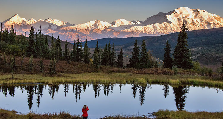 <p>A November to Remember!</p>
