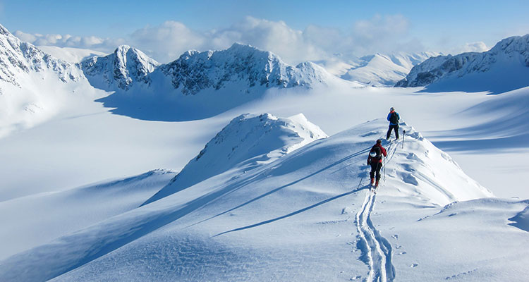 <p>Rate Cut Expectations Trimmed</p>
