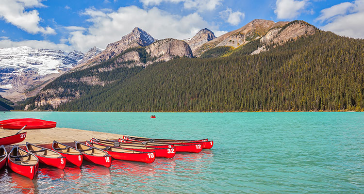 <p>Tech Earnings Rekindle AI Enthusiasm</p>
