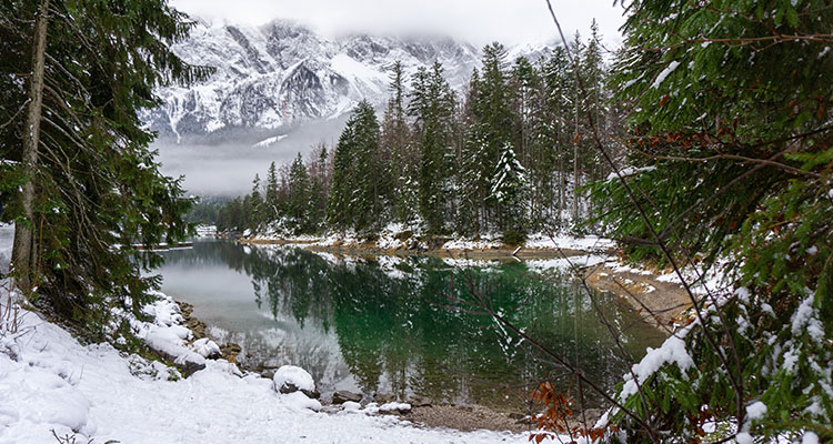 <p>China Intervenes to Support Stocks</p>
