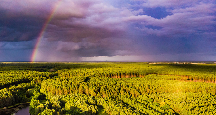 <p>Inflation’s Last Mile Gets Bumpier</p>
