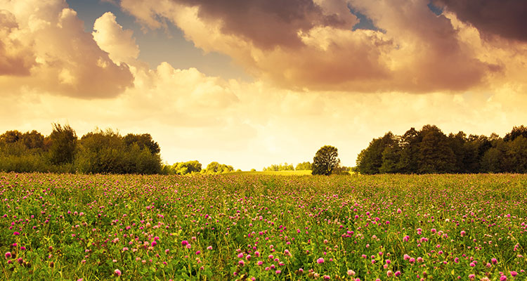 <p>US Economy Finished 2023 Strong</p>
