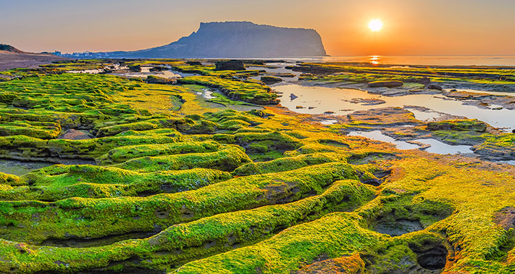 <p>You Can’t Hurry Cuts. You Just Have to Wait.</p>
