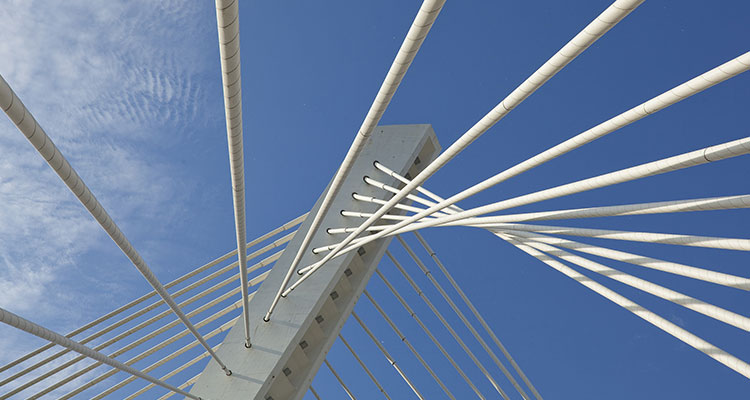 <p>Prosegue il rally del rischio, mentre rimbalza il mercato del lavoro negli Stati Uniti</p>
