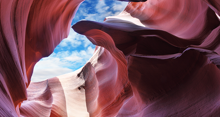 <p>Mercati ottimisti nella speranza di un vaccino, riaprono le attività</p>
