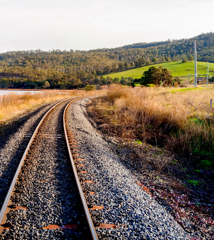 <p>Municipal Bonds: A Mix of Income and Diversification</p>
