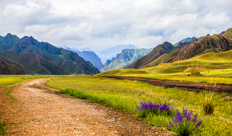 <p>MFS Stewardship Report: Second Quarter 2023</p>
