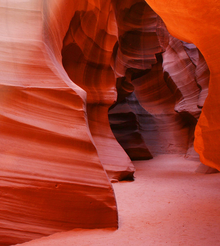 Participant Behavior in Volatile Markets: Case study 35 year old