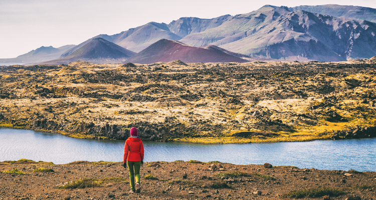 <p>2023 Mid-Year Outlook</p>
