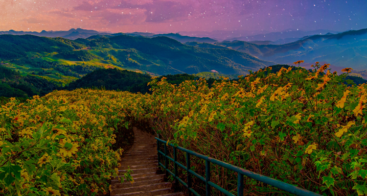 <p>EM Local Debt: The Stars May Soon Be Aligning</p>
