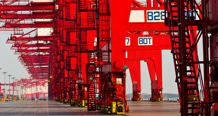 Trade and Tariff Uncertainty: A Bottom-Up Perspective on Managing Macro Headwinds