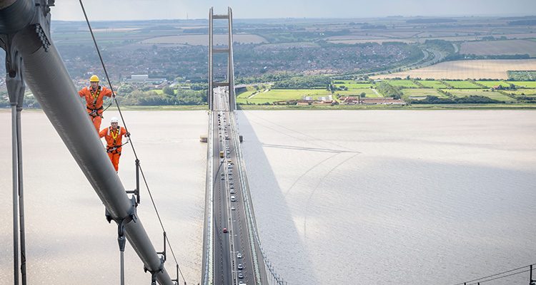 The Changing Landscape of the Large- and Mid-Cap Growth Asset Classes