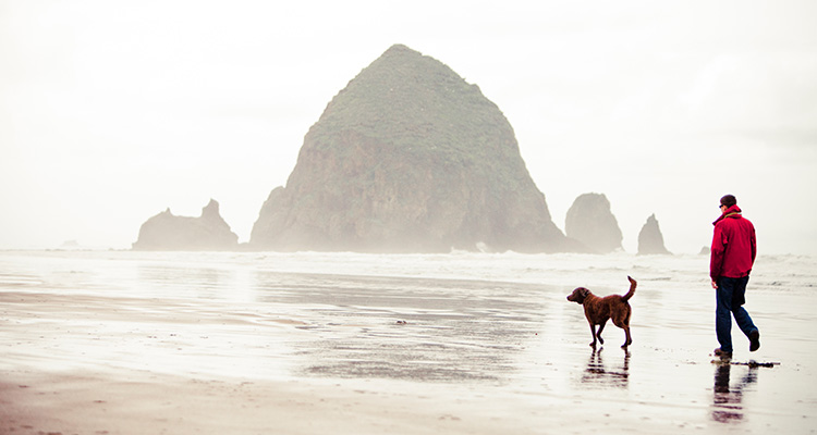 Intrinsic Value Investing at MFS