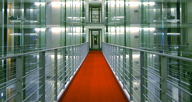 Short-Termism, Monkeys and Markets