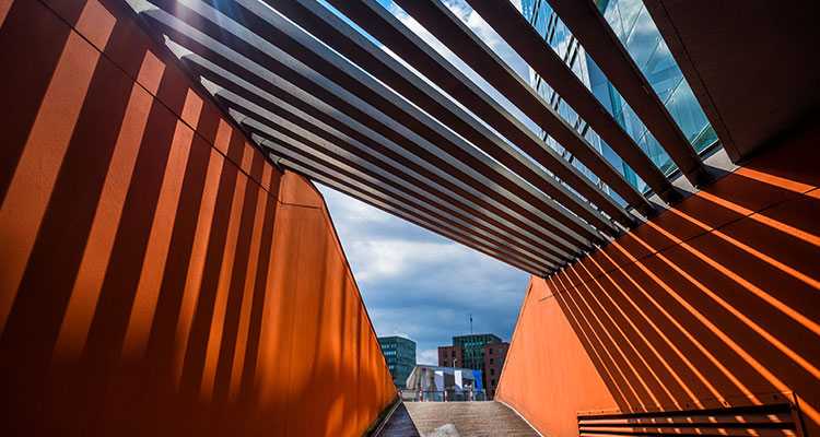 <p>Capital Markets View Summary </p>
