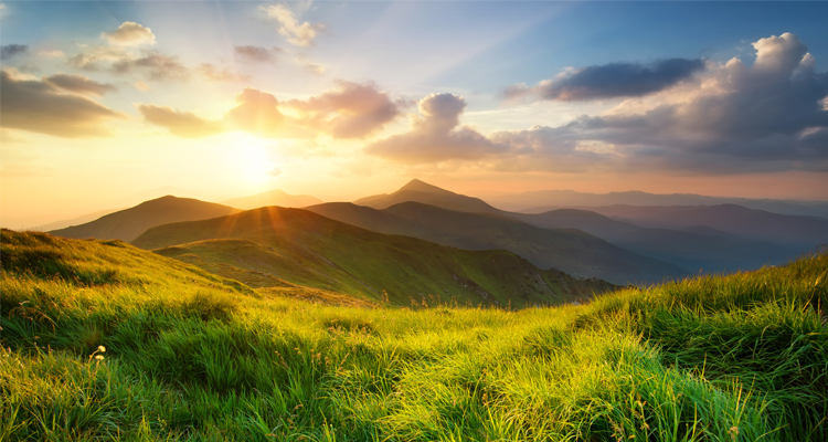 <p>MFS Net Zero Progress Report</p>
