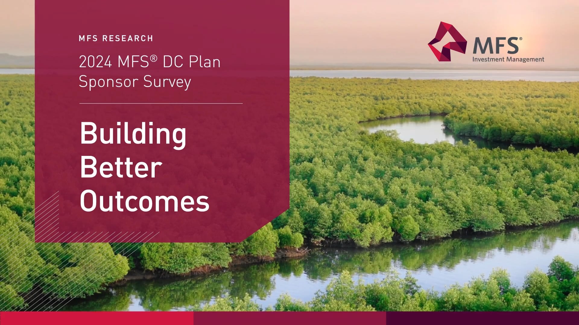2024 MFS DC Plan Sponsor Survey: Investment Menu and Plan Design Changes